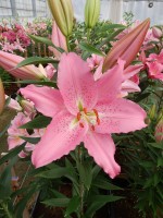 [5257 Catemaco No01.JPG]